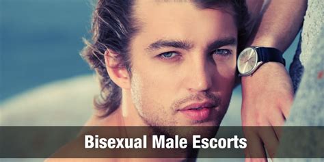 escorta masculina|Book A Male Escort